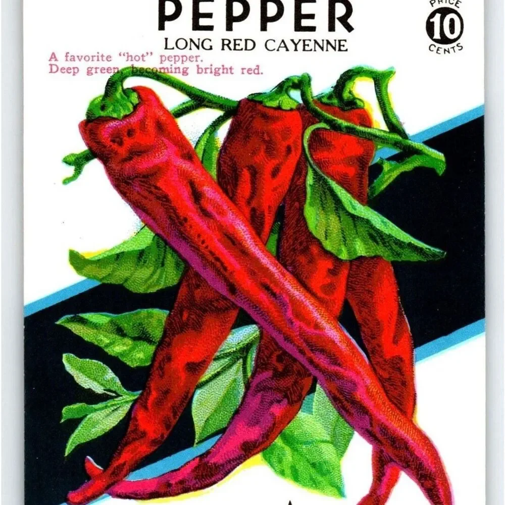 Long Red Cayenne Pepper Seed Packet EMPTY Vintage Lone Star 1940's Original